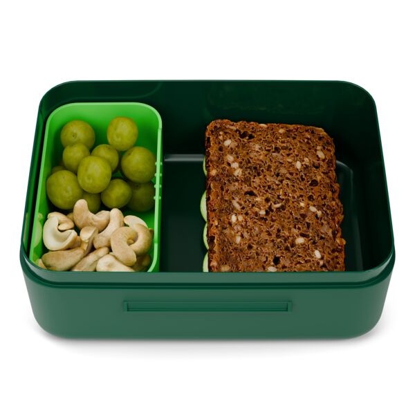 ergobag Dinosaurier Kunststoff Brotdose