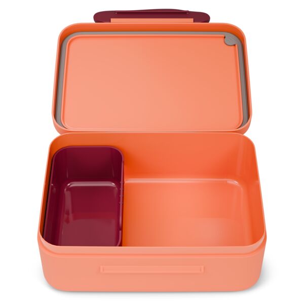 ergobag Tiger Kunststoff Brotdose